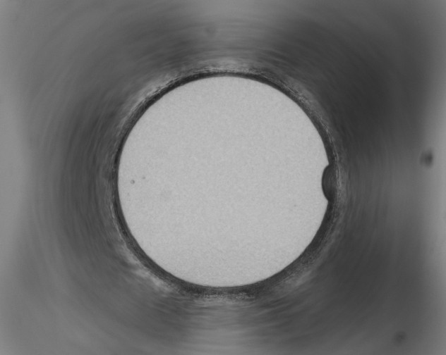 X0000116490625201001061142