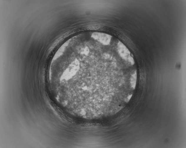 X0000116490626201001061142