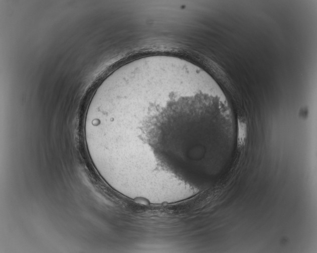 X0000116490627201001061142