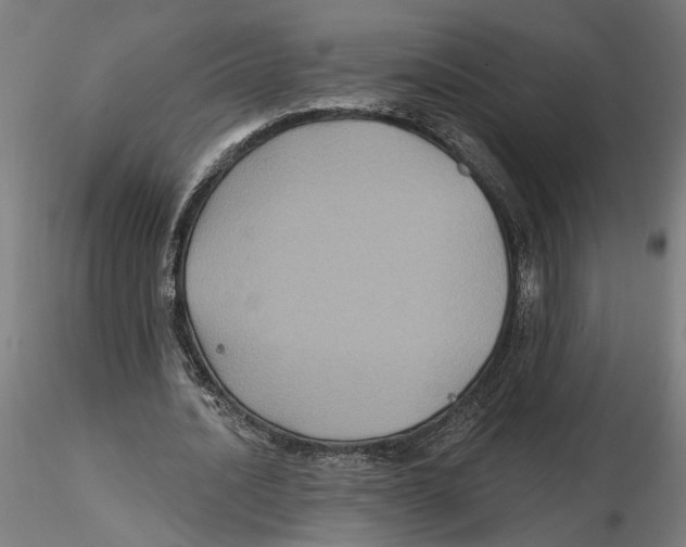 X0000116490628201001061142