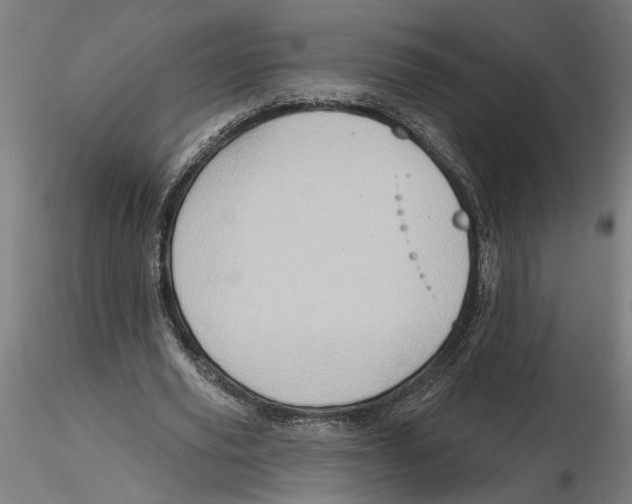 X0000116490629201001061142