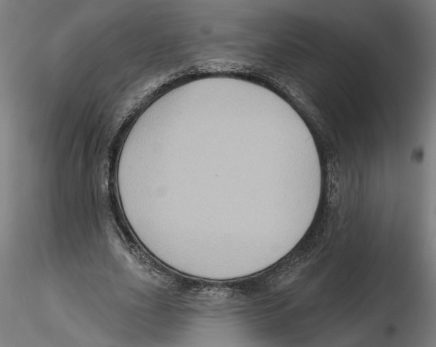 X0000116490631201001061142