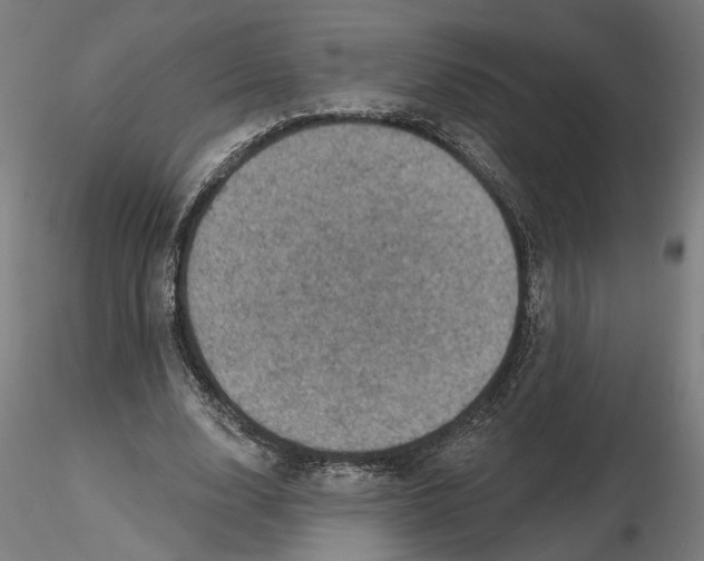 X0000116490632201001061142