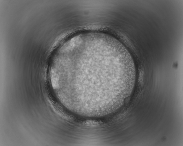 X0000116490636201001061142