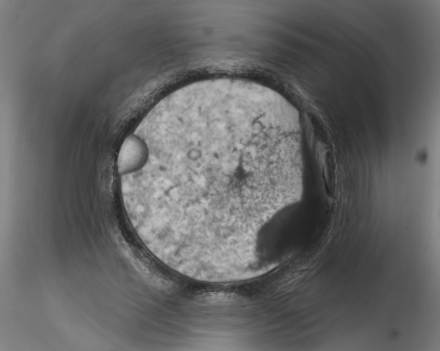 X0000116490637201001061142