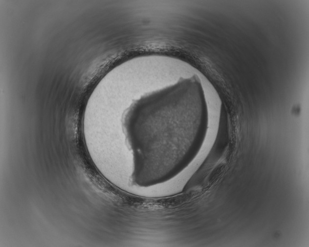 X0000116490640201001061142