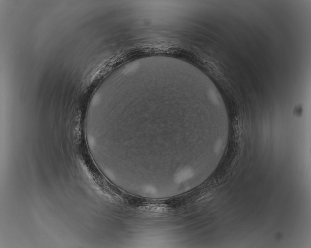 X0000116490642201001061142