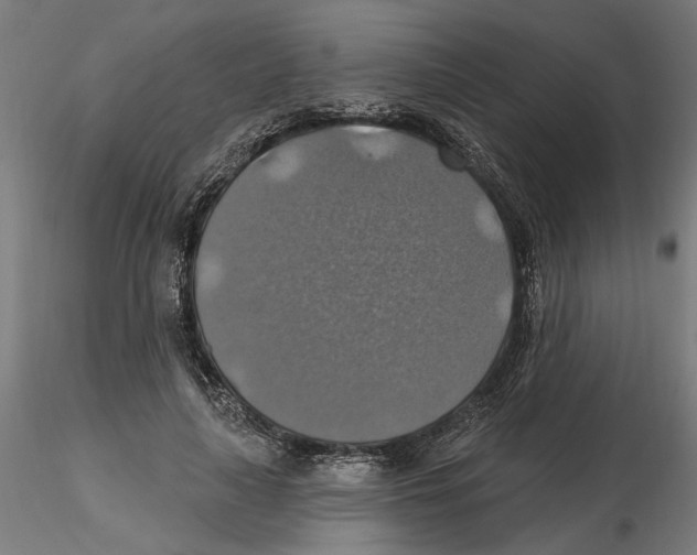 X0000116490643201001061142