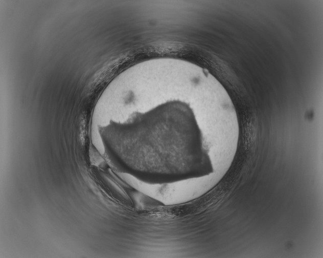 X0000116490644201001061142