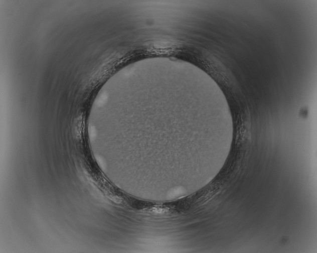 X0000116490647201001061142