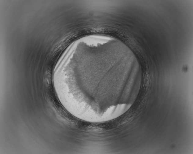 X0000116490648201001061142