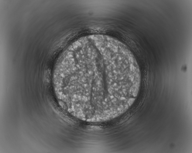 X0000116490649201001061142