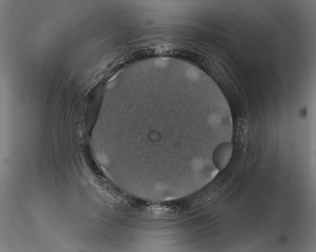 X0000116490650201001061142