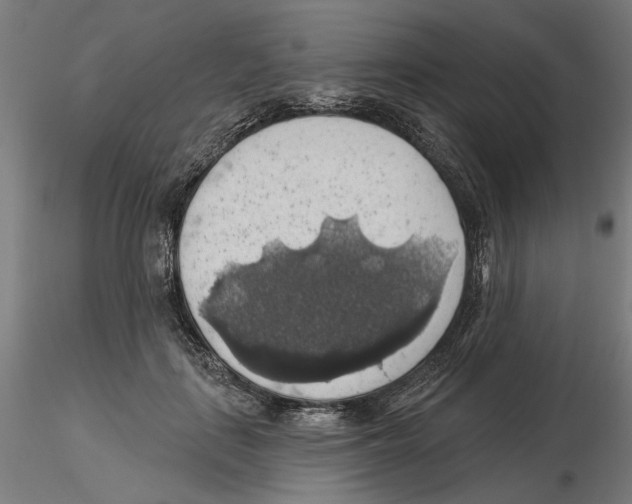 X0000116490651201001061142