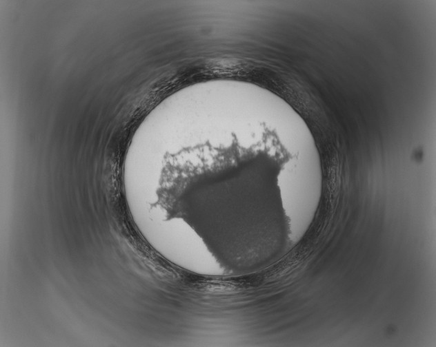 X0000116490653201001061142