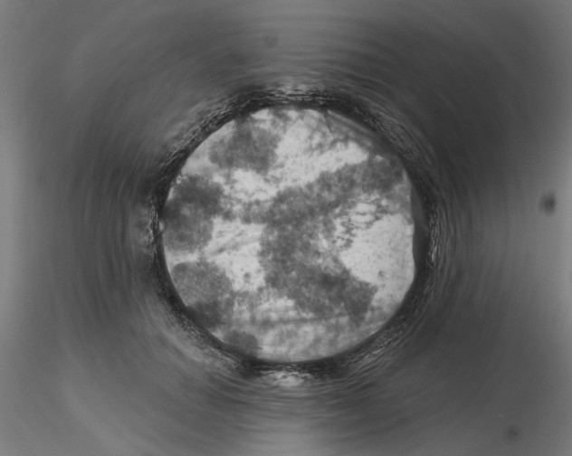 X0000116490654201001061142