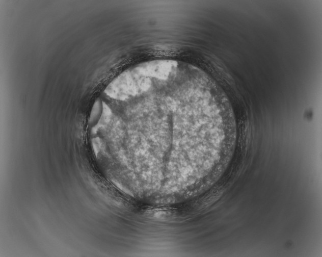 X0000116490655201001061142