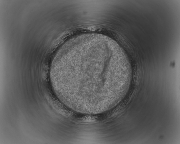 X0000116490656201001061142