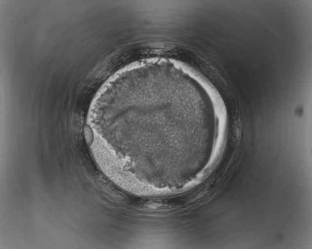 X0000116490657201001061142