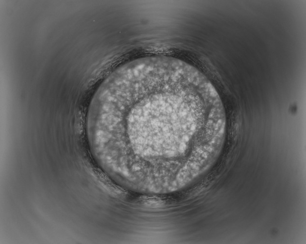 X0000116490658201001061142