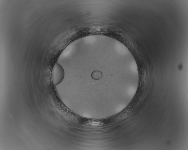 X0000116490659201001061142