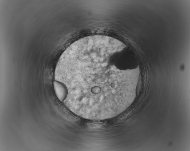 X0000116490661201001061142