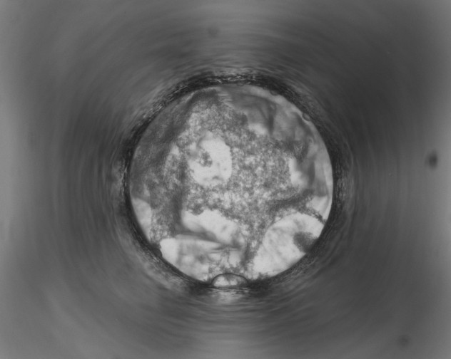 X0000116490662201001061142