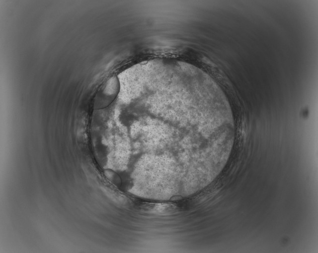 X0000116490663201001061142