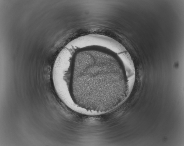 X0000116490664201001061142