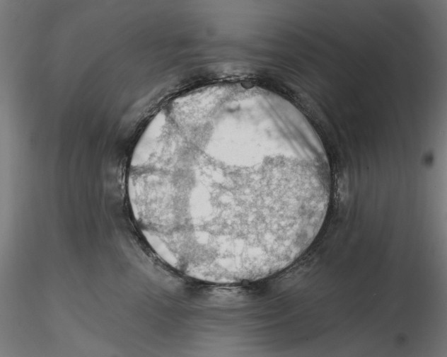 X0000116490666201001061142