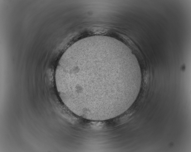 X0000116490667201001061142