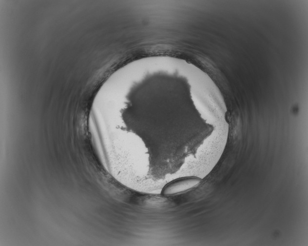 X0000116490669201001061142