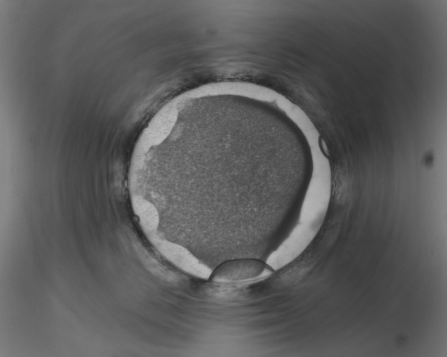 X0000116490670201001061142