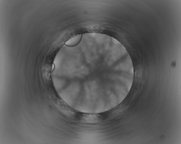 X0000116490671201001061142