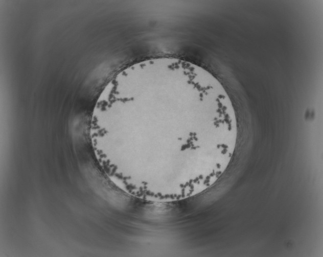 X0000116490672201001061142