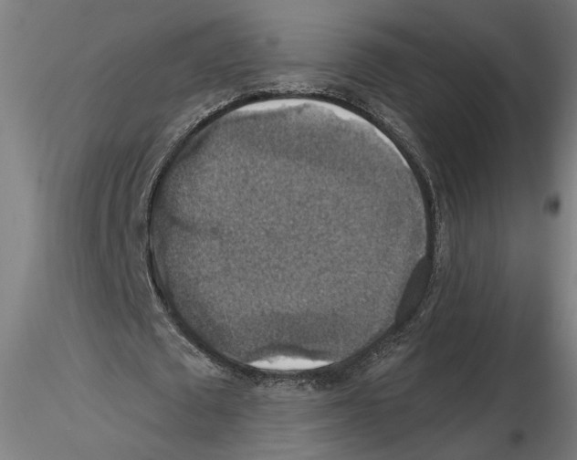 X0000116490673201001061142