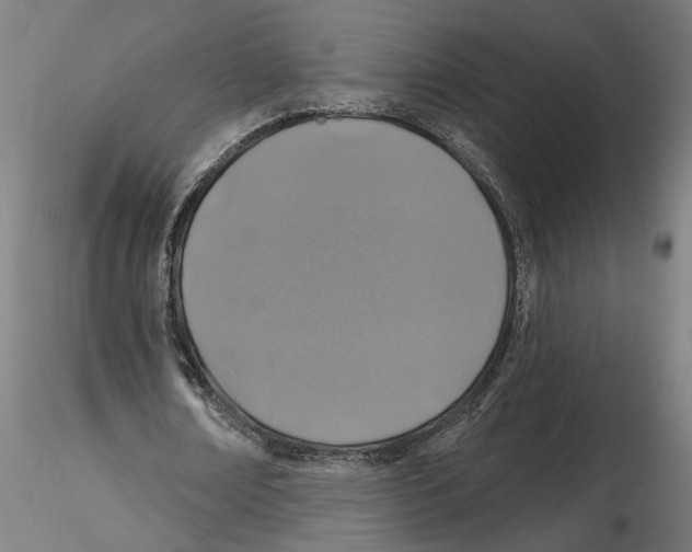 X0000116490674201001061142