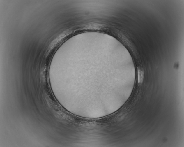 X0000116490675201001061142