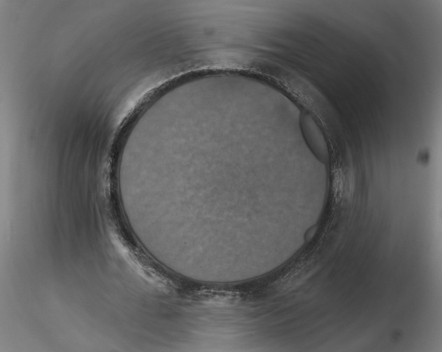 X0000116490676201001061142