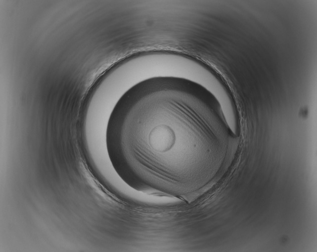 X0000116490677201001061142