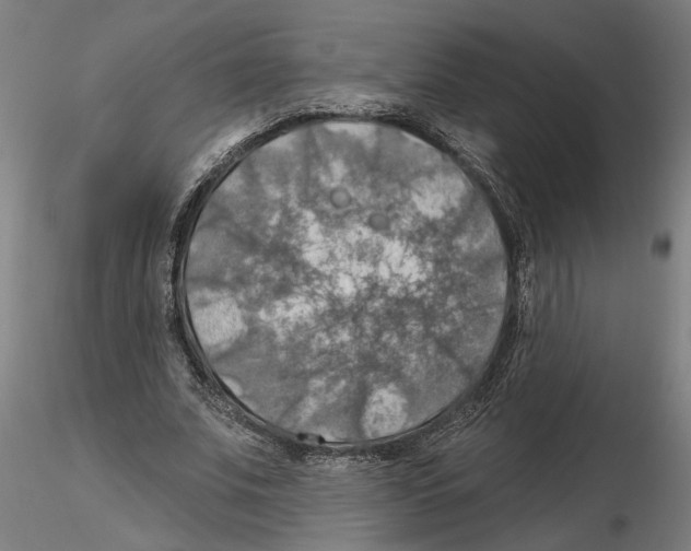 X0000116490679201001061142