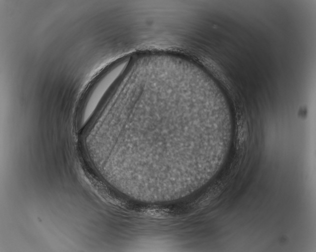 X0000116490680201001061142