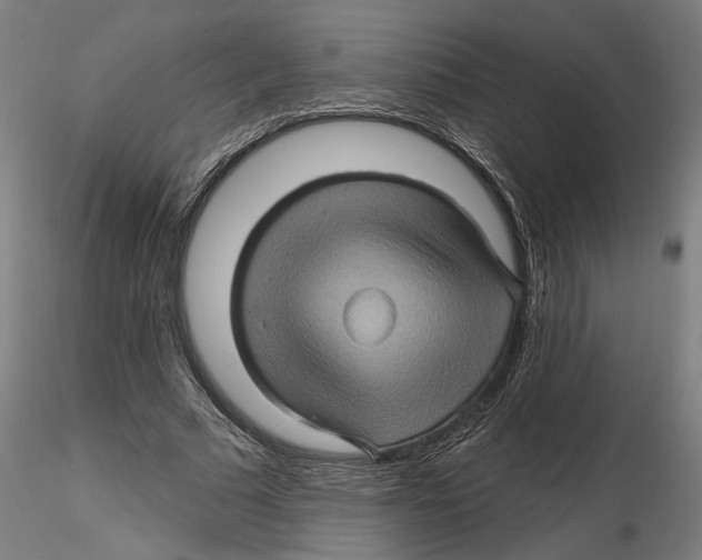 X0000116490681201001061142