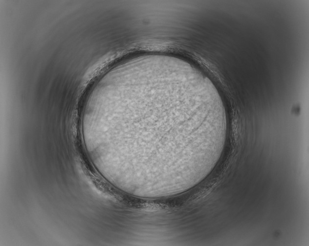 X0000116490682201001061142