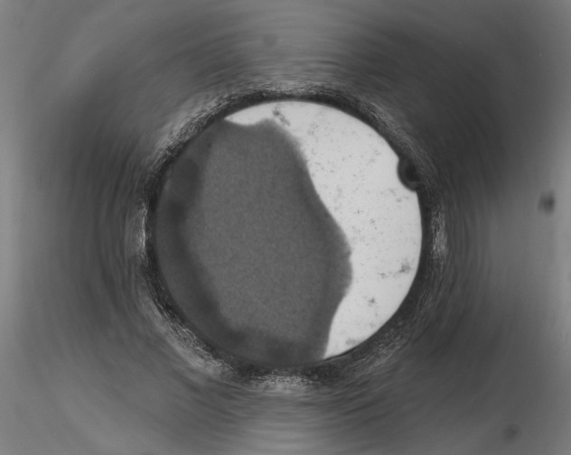 X0000116490685201001061141