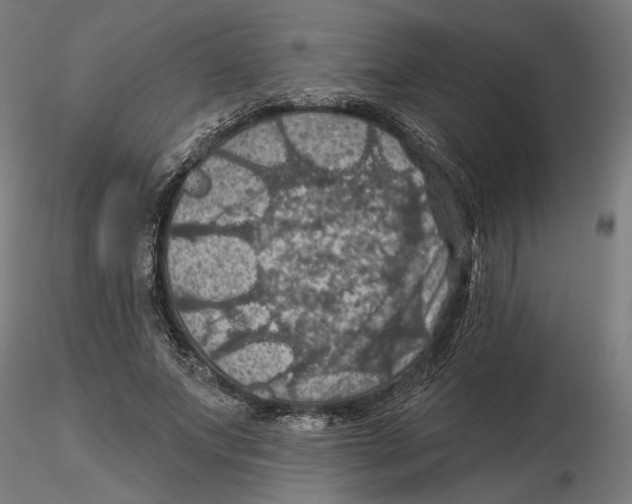 X0000116490687201001061141