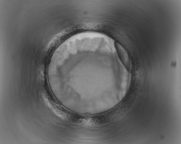 X0000116490688201001061141