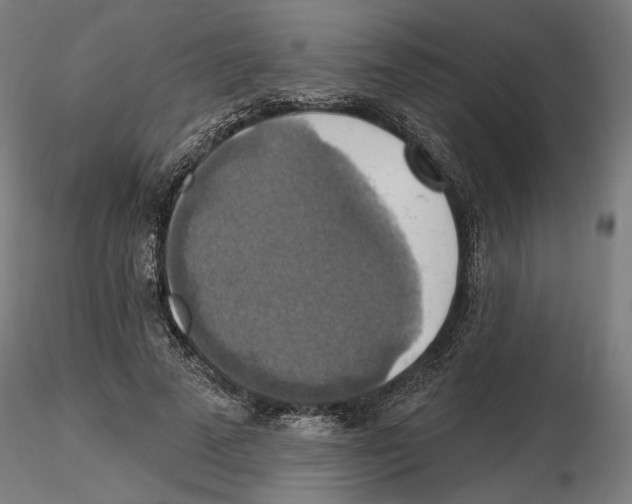 X0000116490689201001061141