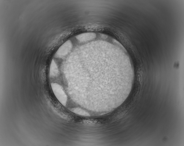 X0000116490690201001061141