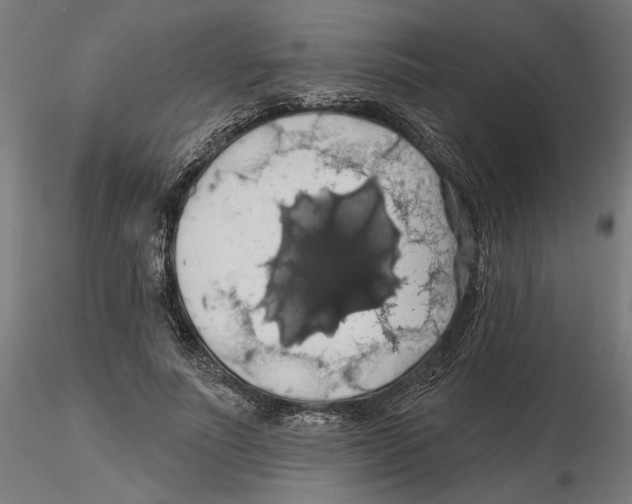 X0000116490691201001061141